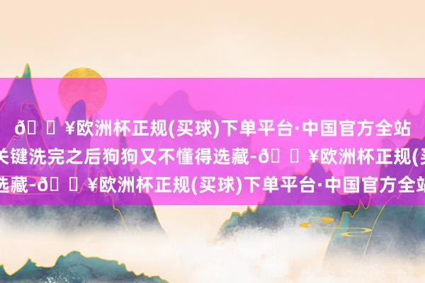 🔥欧洲杯正规(买球)下单平台·中国官方全站就像是打架相通呢！关键洗完之后狗狗又不懂得选藏-🔥欧洲杯正规(买球)下单平台·中国官方全站